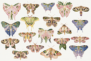 70 Watercolor Luna Moth Clipart, an Animal Illustration by Digital Museum (Thumbnail 4 of 7)
