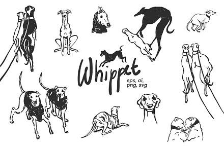 Whippet Minimalist Doodles, an Illustration by Anastasiya Klempach