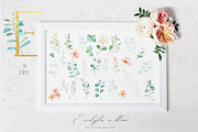 Eucalyptus Bloom Watercolor, a Texture Illustration by Olga Koelsch (Thumbnail 10 of 11)