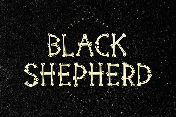 Black Shepherd preview 7