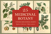 25 Medicinal Botany Prints, a Decorative Illustration by The Object Atlas (Thumbnail 1 of 6)