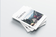 Natural Magazine Template, a Magazine Template by obidullah_01 (Thumbnail 3 of 14)