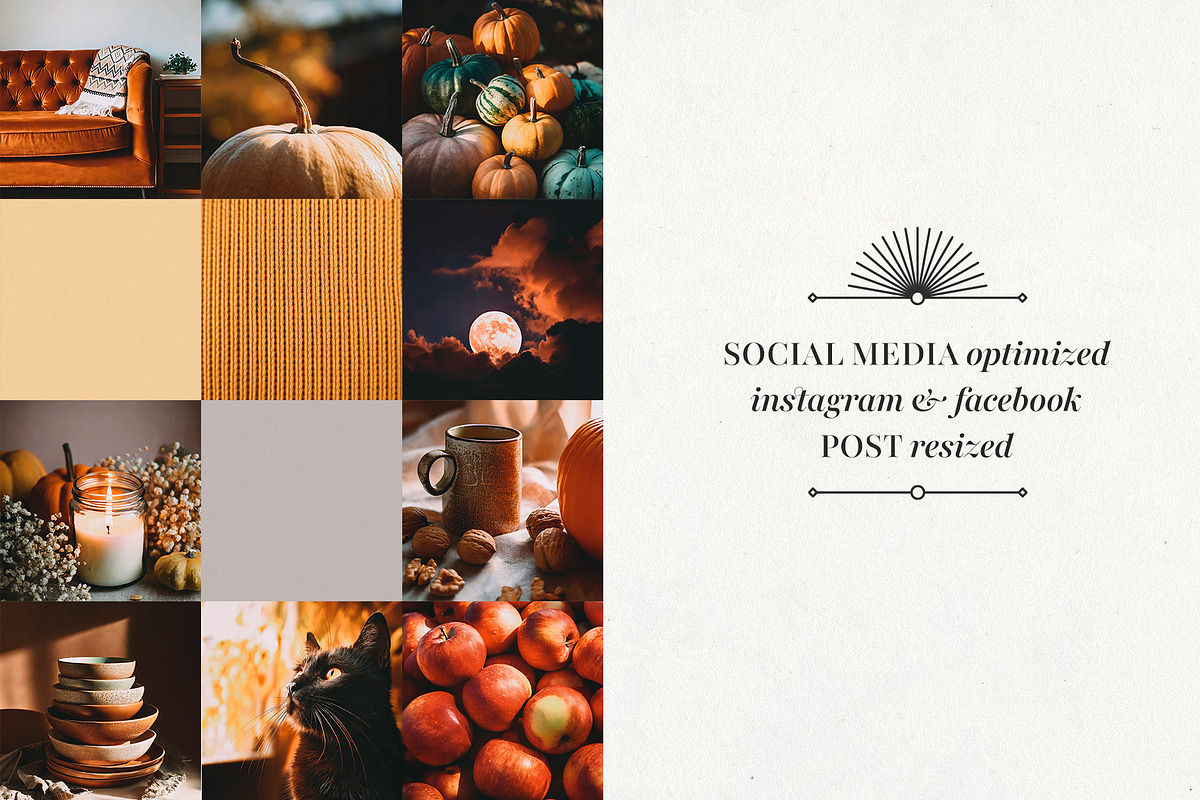 Cozy Autumn Collection, a Person Photo by Deveze Art & Co (Photo 5 of 7)