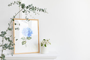 Watercolor Clipart Hydrangea flowers, a Decorative Illustration by Kotkoa (Thumbnail 10 of 12)