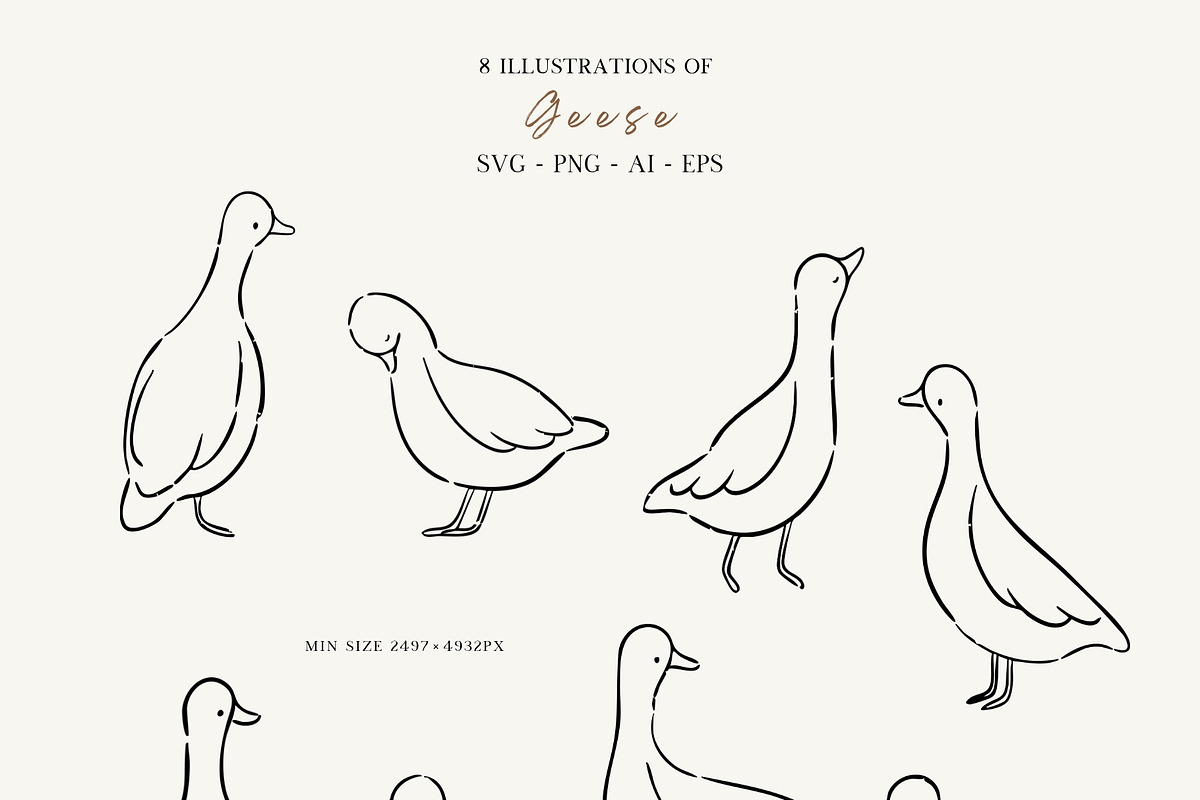 Line Art Cute Geese & Florals, an Animal Illustration by Jenteva Art (Photo 2 of 16)