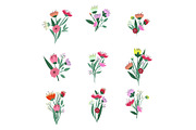 48 vector floral patterns, a Pattern Graphic by Alena Stoyko design (Thumbnail 13 of 19)