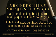 Anika Elegant Display Serif Font, a Serif Font by Graphicxell (Thumbnail 8 of 8)