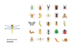Insects color vector icons, an Icon by Jisun Park