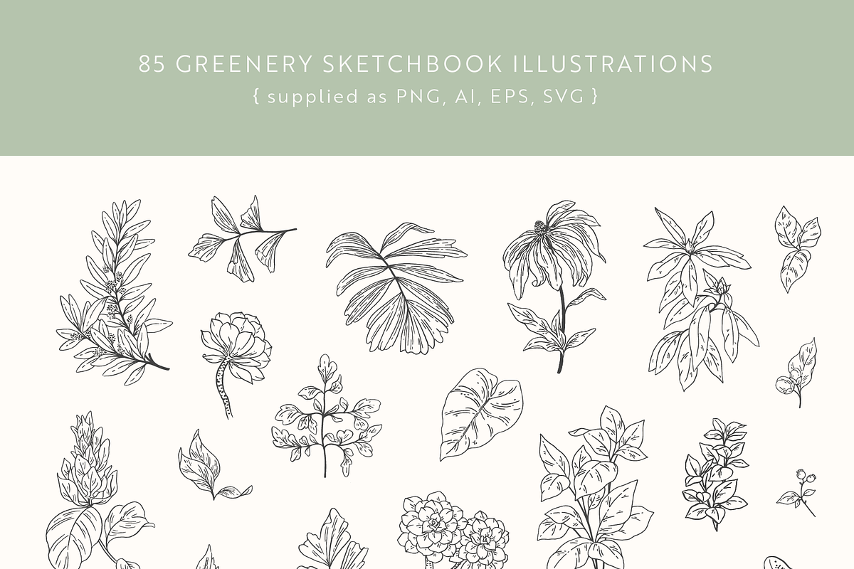 Greenery Sketchbook Illustrations, a Decorative Illustration by Emma Webb Studio (Photo 3 of 7)
