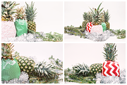 The Festive Pineapples Collection, a Holiday Photo by Pineapple Shop (Thumbnail 3 of 5)