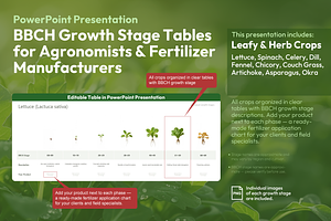 BBCH Growth Stages, Leafy & Herbs, a Presentation Template by Ilia Design