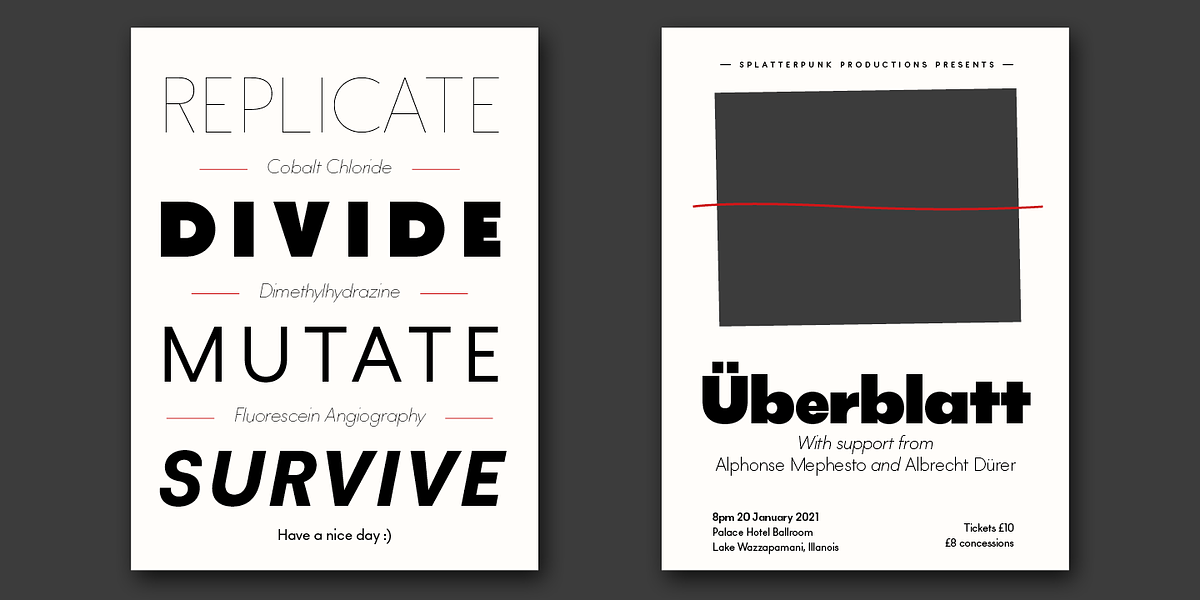 Lightbox 21, a Sans Serif Font by Protimient (Photo 8 of 10)