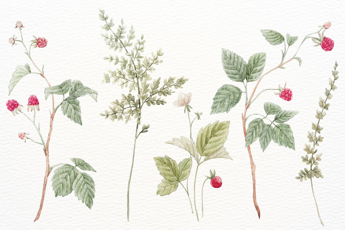 Watercolor Forest Set, a Decorative Illustration by Lembrik's Artworks (Photo 6 of 6)