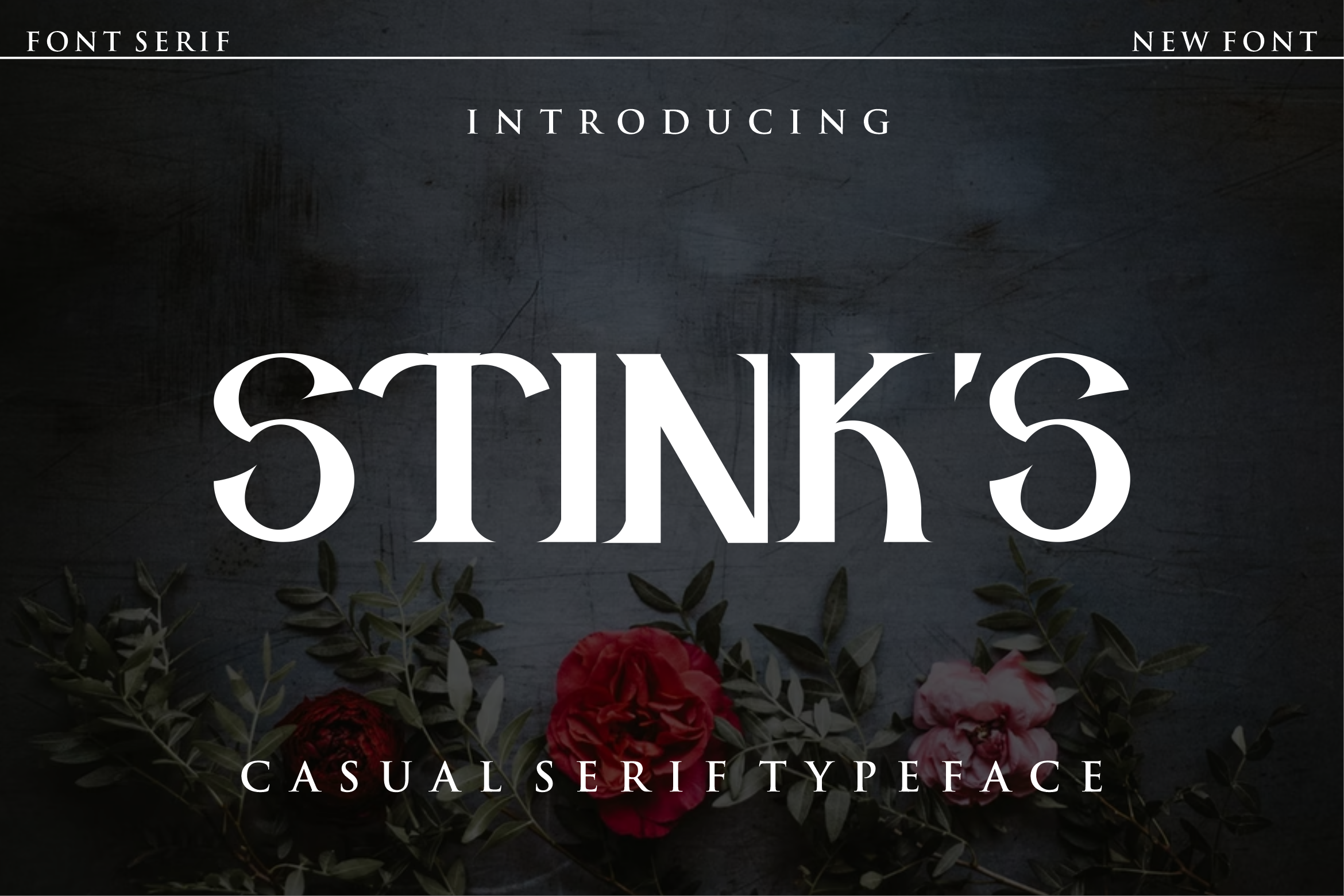 Stink's font, a Serif Font by VectorCraft
