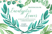 Watercolor Leaves Clipart Eucalyptus, an Illustration by Essem Creatives (Thumbnail 1 of 3)