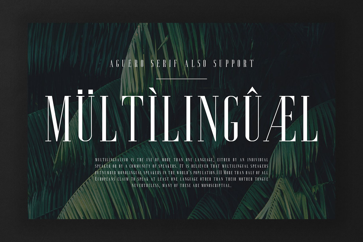 Aguero Serif - Clean & Elegant Font preview 6