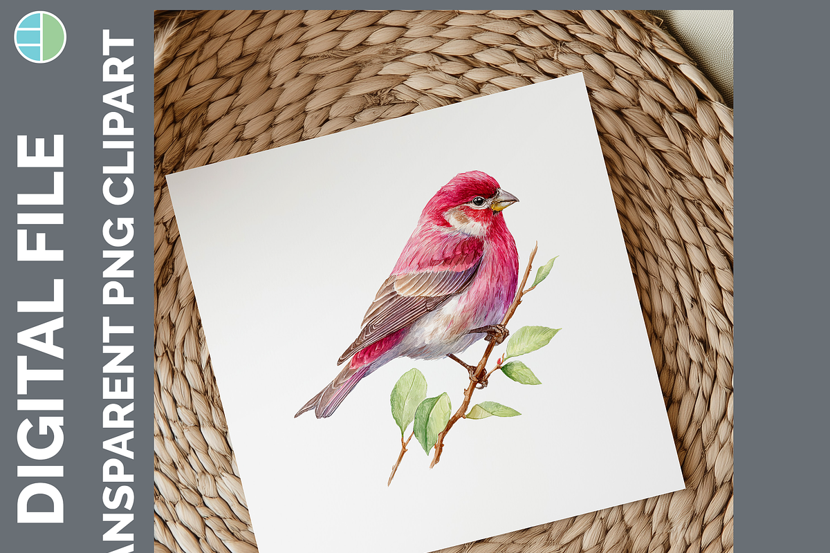 Bird Illustration Bundle, 21 PNG, an Animal Illustration by Enliven Designs (Photo 6 of 8)
