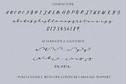 Wild Honey - Script with Swashes, a Handwritten Font by Beck McCormick (Thumbnail 10 of 10)