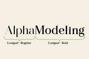 Lostgun Plus | Stylish Typeface, a Serif Font by Qaratype (Thumbnail 17 of 20)