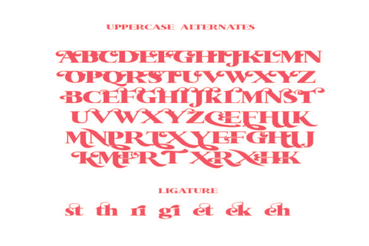 Hello Melone, a Serif Font by AleraStudio (Photo 8 of 10)