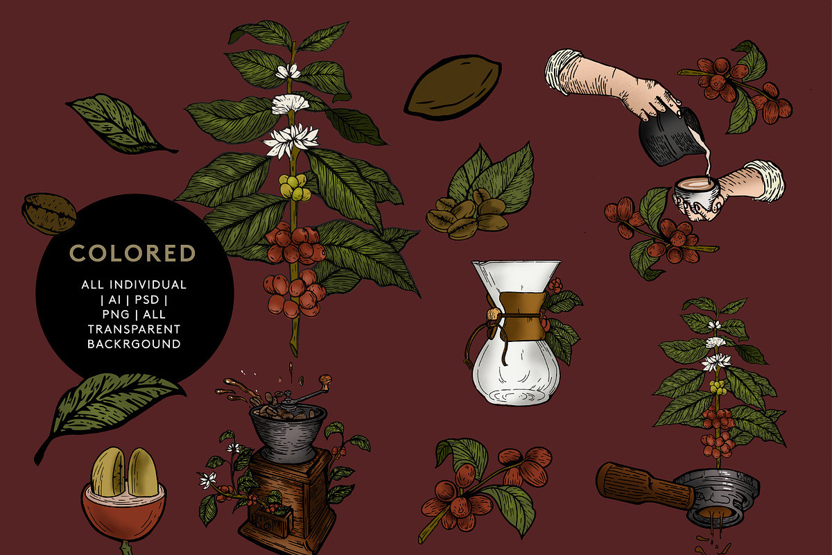 Coffee Illustration ( vintage style), an Illustration by Elysamunster (Photo 3 of 13)