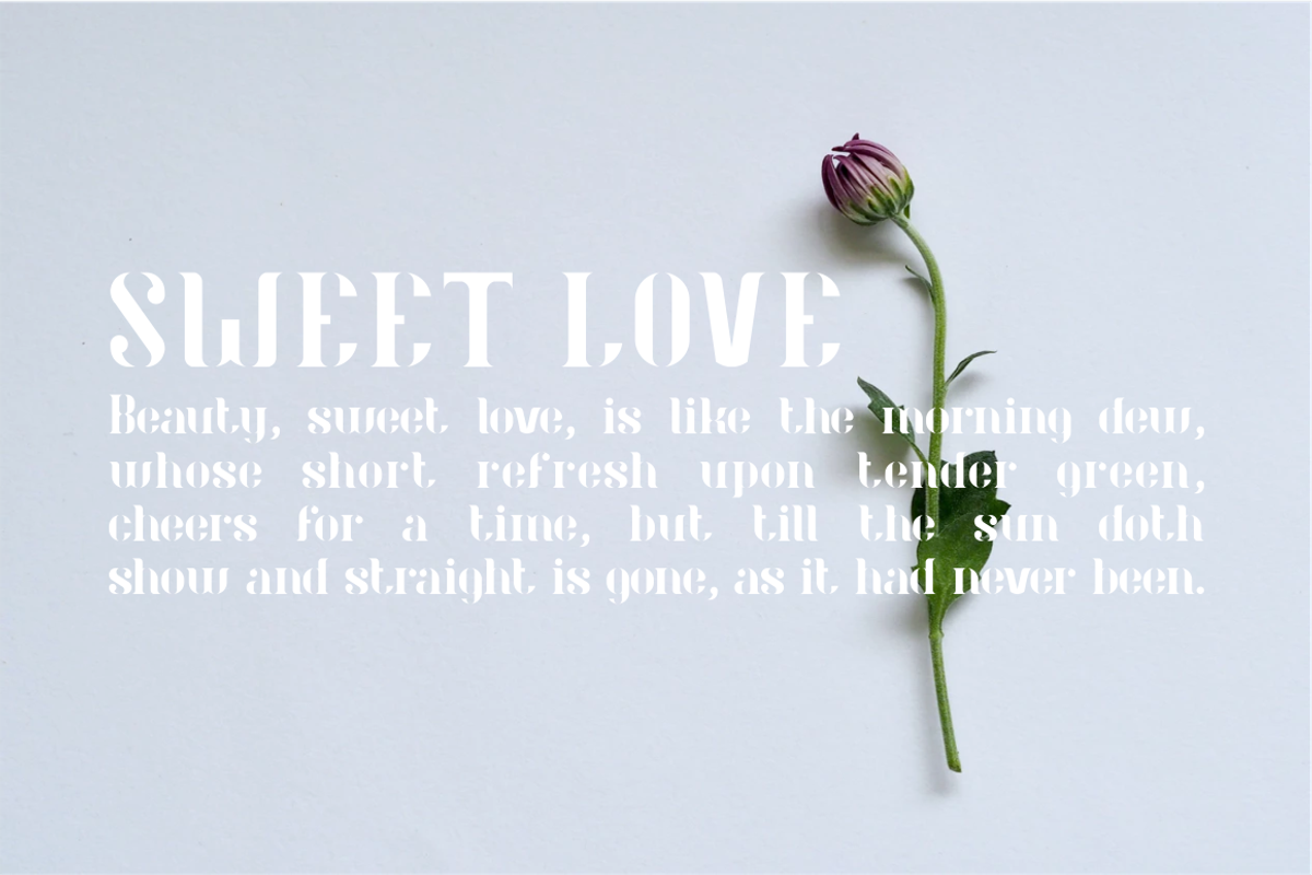 Audrey Font preview 7