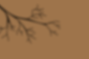 Autumn Shadows +Bonus Spooky Shadows, an Object Graphic by Jessica Fadel Design (Thumbnail 7 of 18)