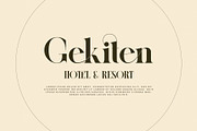 Cellgin Elegant Ligature Serif Font, a Serif Font by Perfectype (Thumbnail 3 of 6)
