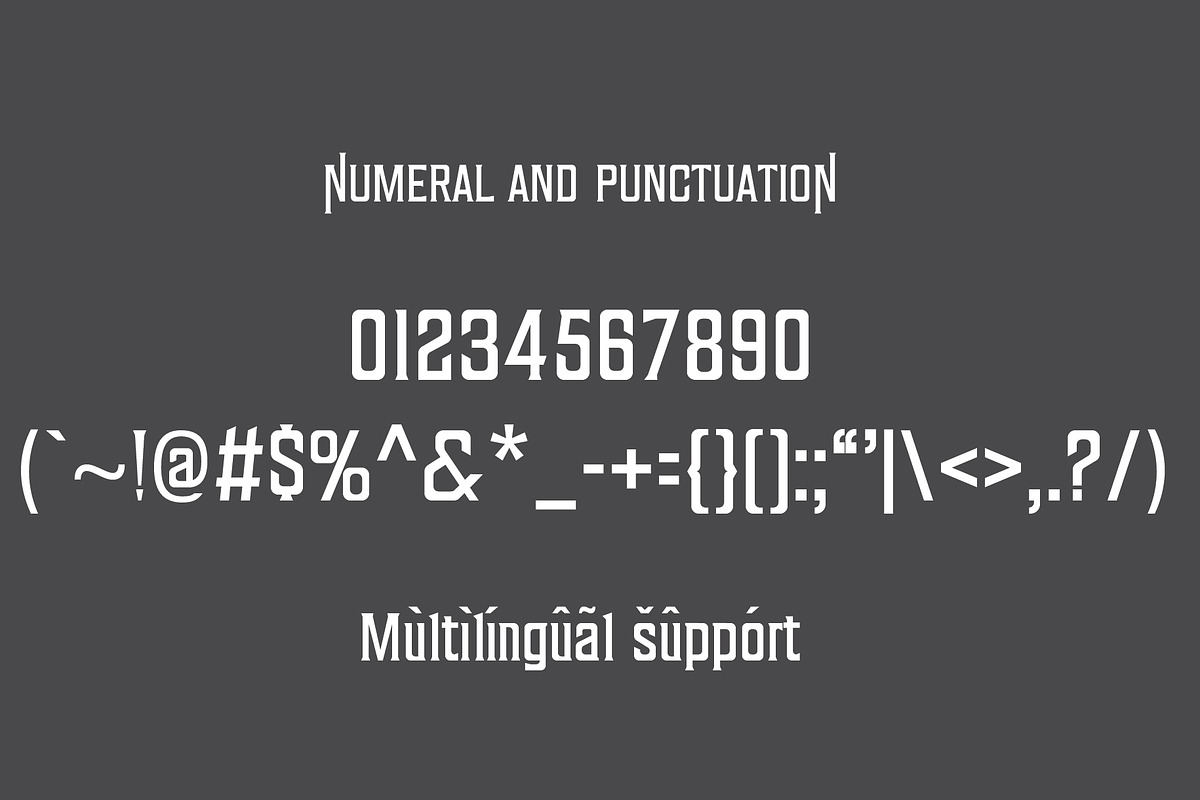 Don Corleon, a Script Font by Teweka (Photo 8 of 9)