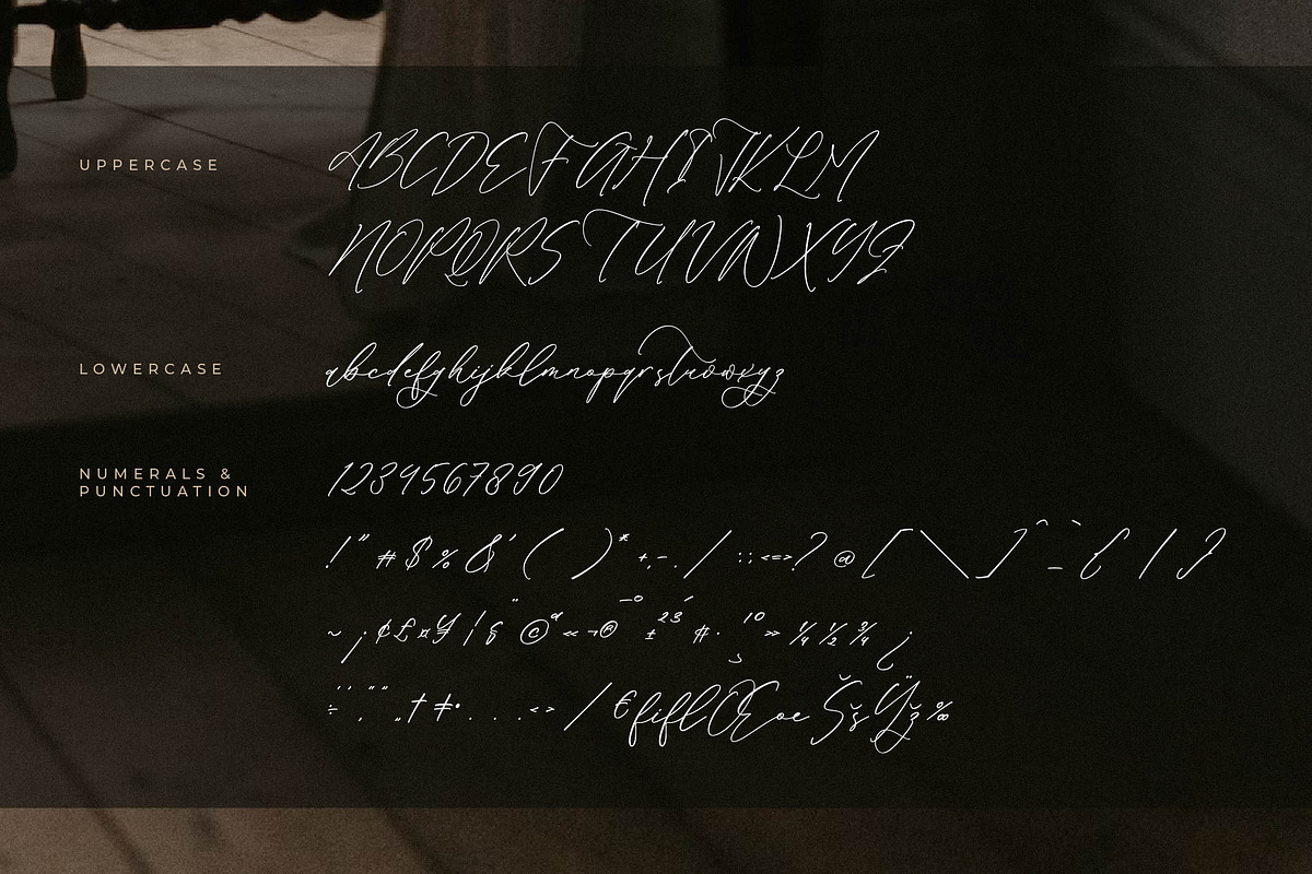 Victoria Cordeline A Modern Font, a Script Font by Storytype Studio (Photo 13 of 15)