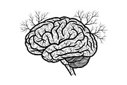 Brain Tree Knowledge Design Bundle, an Illustration by Gaye Art (Thumbnail 26 of 31)