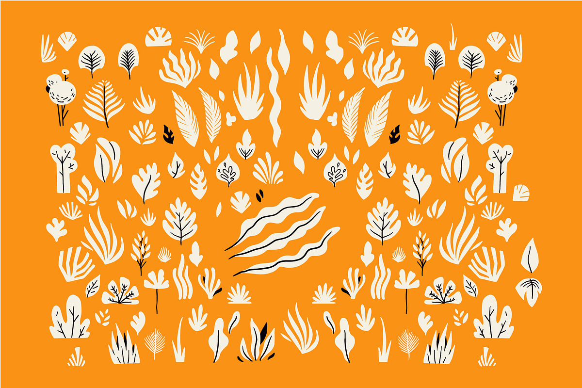 Tropical vector set, an Illustration by La Station B. (Photo 4 of 6)
