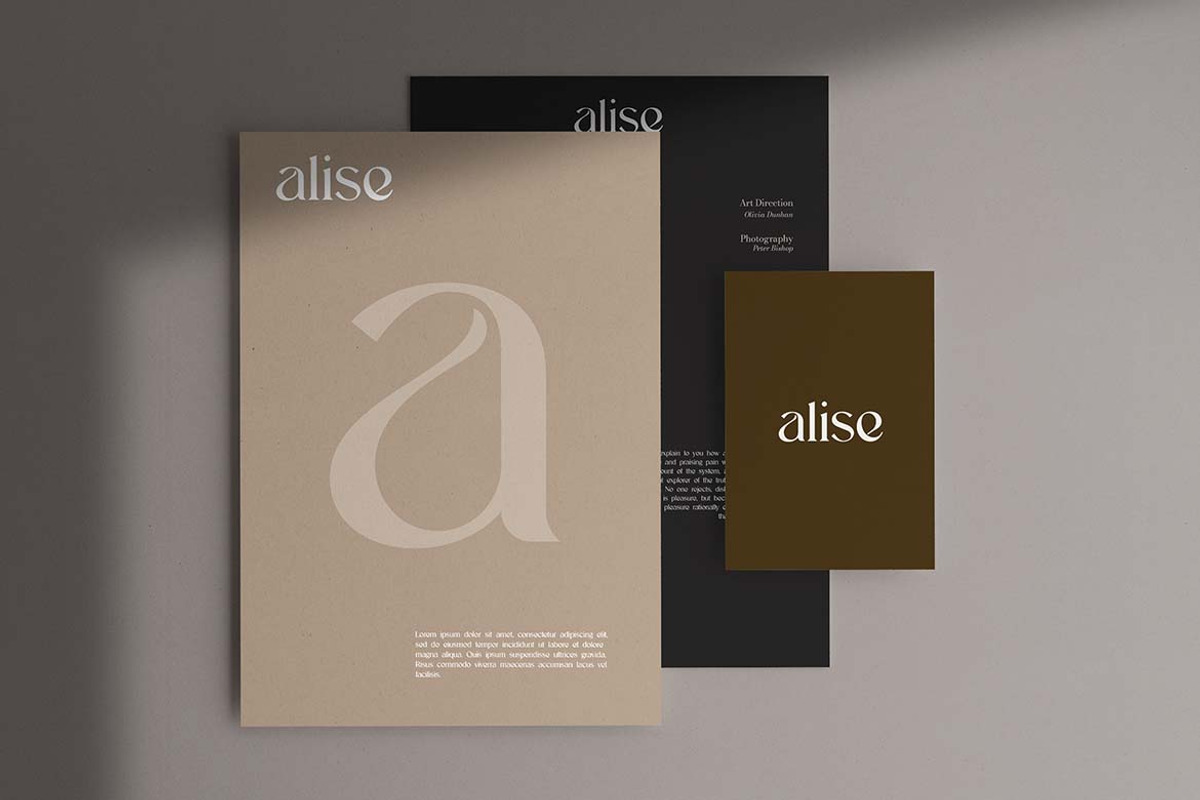 Giblastine Modern Serif Display Font, a Serif Font by UICreative (Photo 13 of 13)