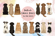 Watercolor Small Dog Breeds, an Animal Illustration by ColorfulPT (Thumbnail 1 of 8)