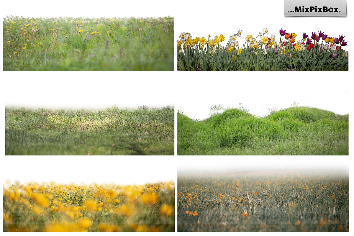 Flowers and Grass Overlays, an Object Graphic by MixPixBox (Photo 6 of 6)