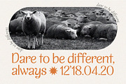 Bliss Mood | Stylized Typeface, a Sans Serif Font by Ef Studio (Thumbnail 4 of 14)