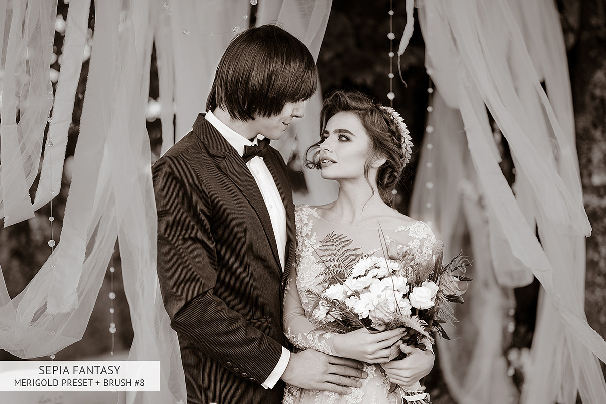 Sepia Fantasy Lightroom Presets, a Plug-in Add-On by FixThePhoto (Photo 27 of 29)