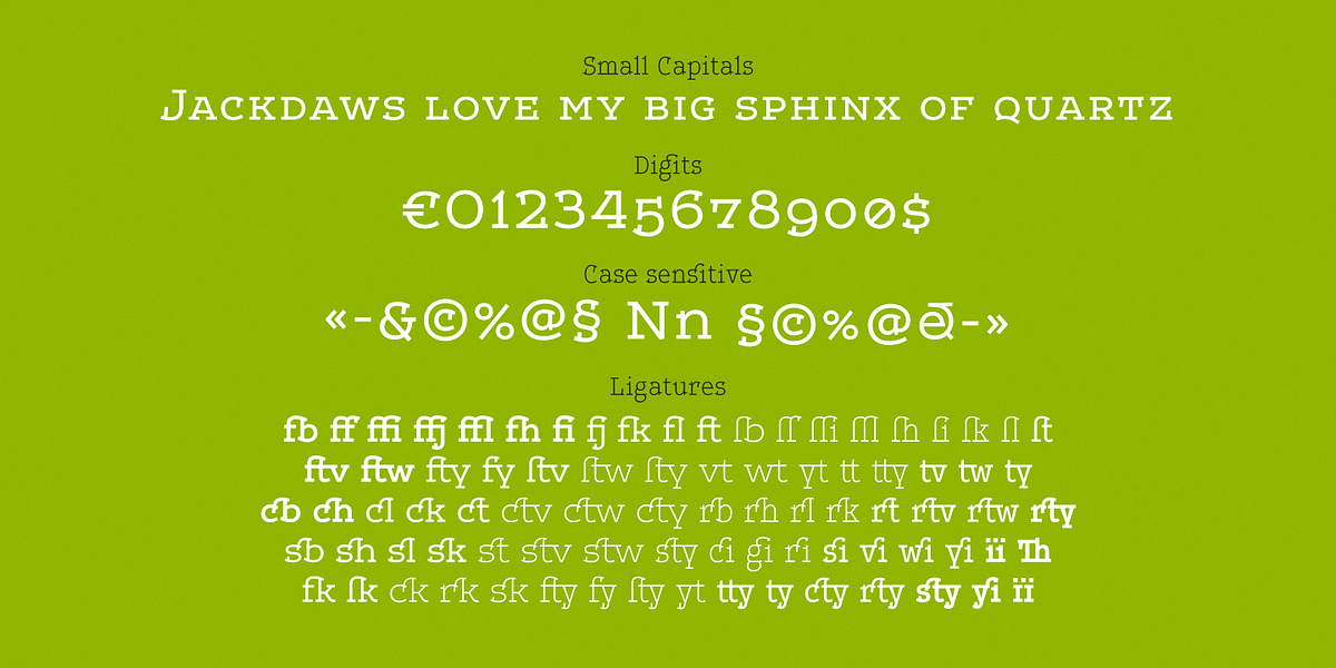 Leto One, a Slab Serif Font by Glen Jan (Photo 7 of 9)