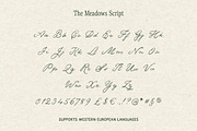 The Meadows - Font Trio & Extra, a Handwritten Font by Davide Bassu (Thumbnail 23 of 25)