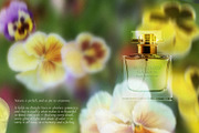 Blurry Flowers Abstract Backgrounds, a Background Graphic by Yuliya Derbisheva (Thumbnail 4 of 15)