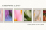 Floral Echoes - Blurry Backgrounds, a Background Graphic by Dina Mae (Thumbnail 3 of 14)