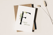 Watercolor set of Forest Greenery, an Illustration by Elena Medvedeva (Thumbnail 12 of 15)