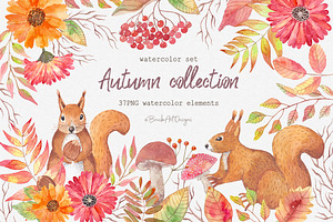 Autumn collection elements