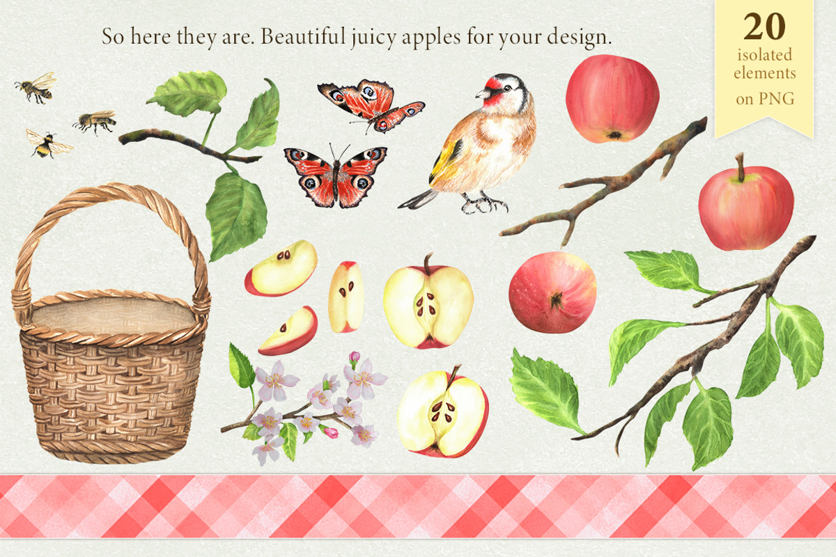Apple Orchard Watercolor Clipart, a Food Illustration by ElenaValeto (Photo 3 of 13)