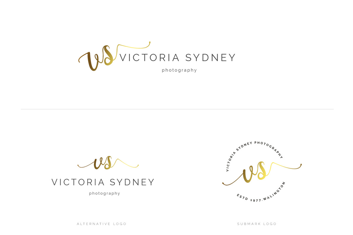 Ladyboss Premade Branding Logos, a Branding & Logo Template by SNIPESCIENTIST (Photo 5 of 84)