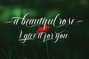 Salmages, a Script Font by NaldyStudio (Thumbnail 5 of 9)
