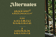 Brolike Typeface, a Serif Font by alit design (Thumbnail 9 of 18)