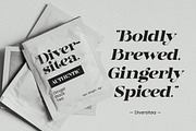 Dynasti Display Font, a Serif Font by Megatype (Thumbnail 4 of 11)