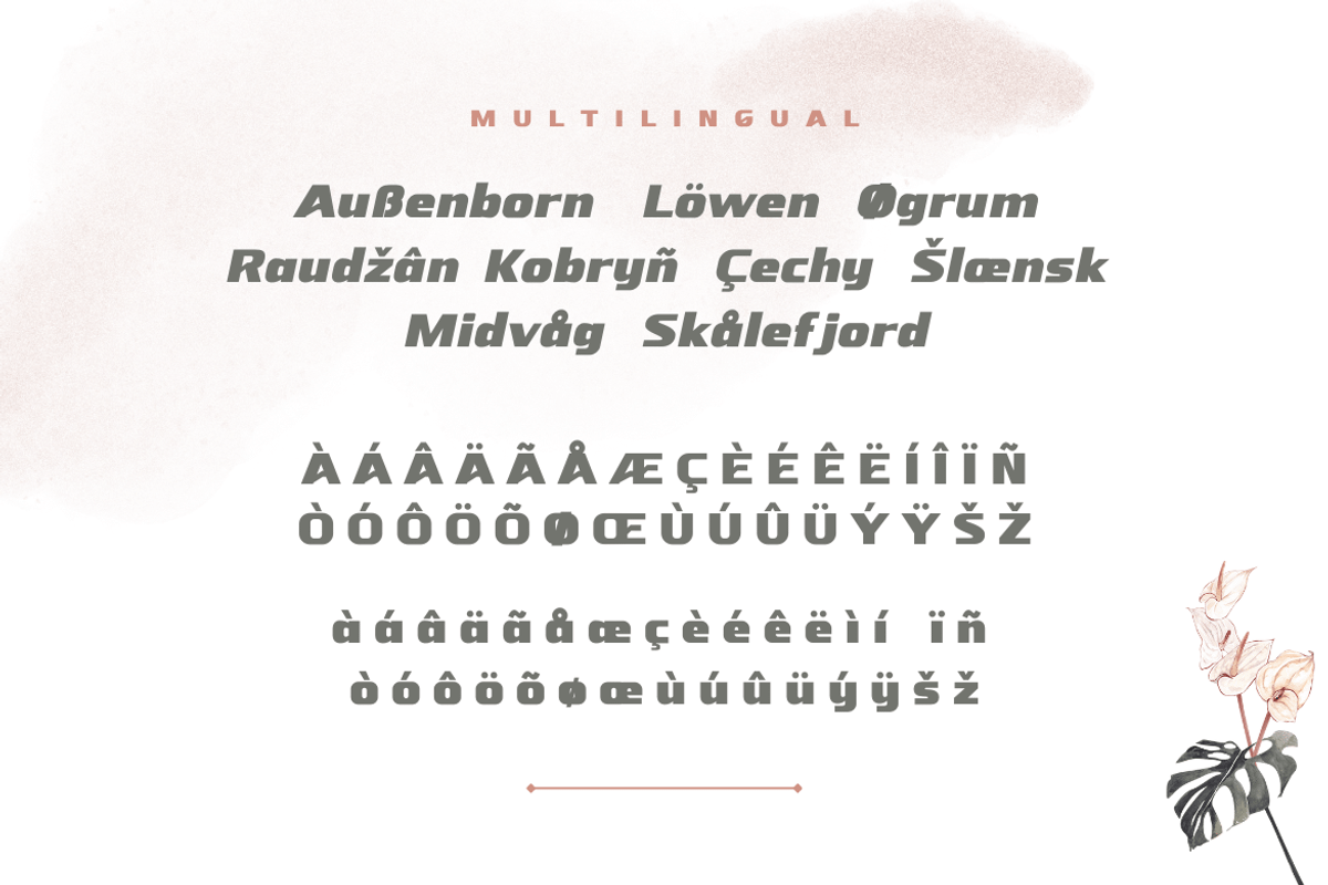 Nebora, a Sans Serif Font by productype1 (Photo 15 of 16)