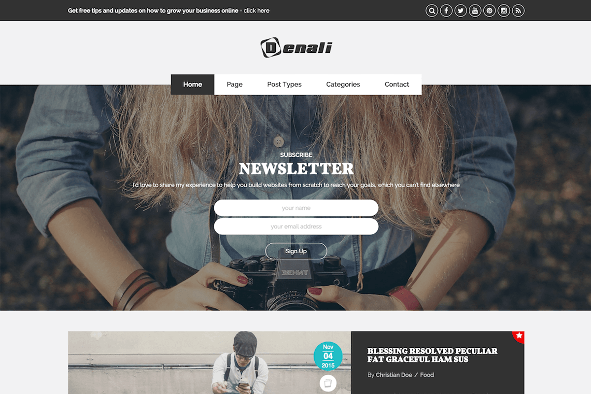 Denali - Professional Blogging Theme, a WordPress Template by CIAOThemes (Photo 3 of 4)